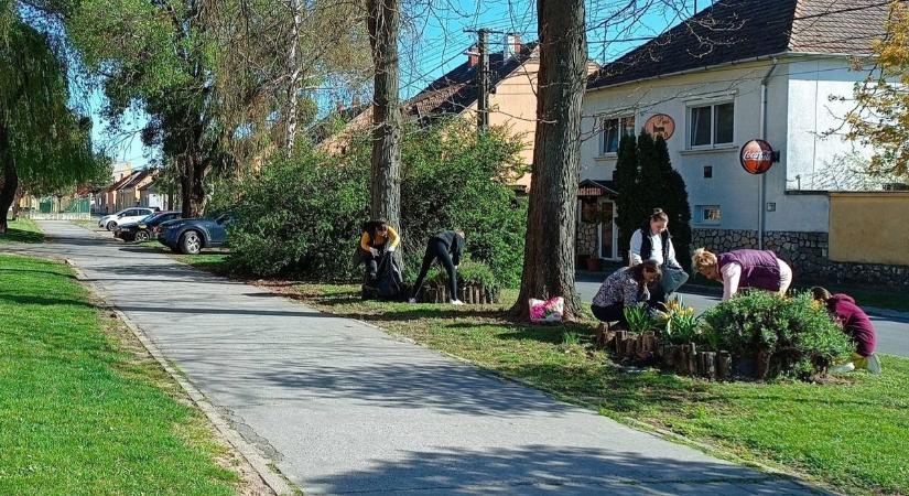 Pápai iskola is döntőbe jutott a Zöld Jövő pályázaton