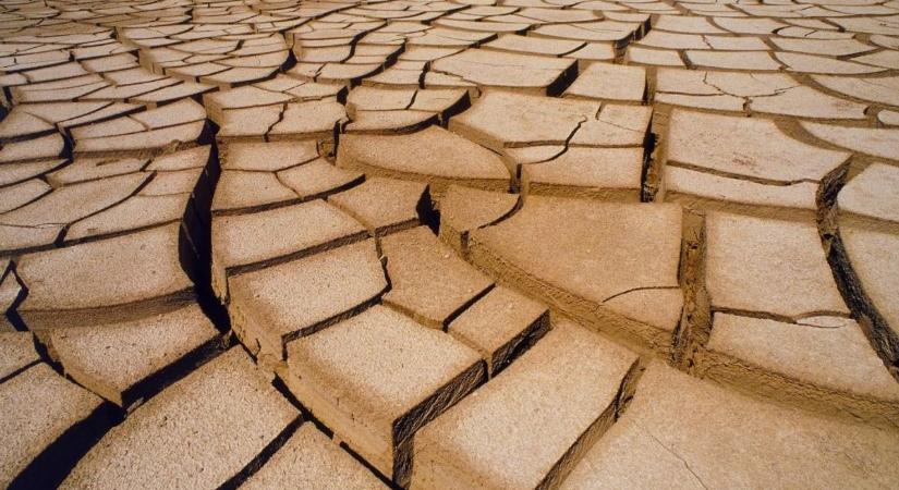 Nem elég a közel-keleti feszültség, idén még a szuper El Nino is tovább drágítja az élelmiszert világszerte