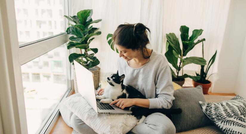 Akik természetes fénynél dolgoznak, 18%-kal jobban teljesítenek. – 10 tuti tavaszi munkamódszer, amit érdemes kipróbálnod