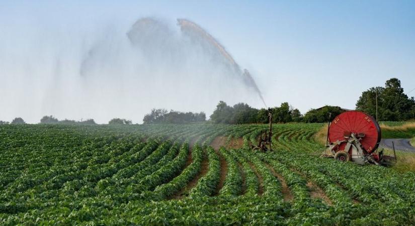 Milliárdokat ad a kormány a magyar gazdáknak: erre költhetik a pénzt – ez most kulcsfontosságú a mezőgazdaság számára