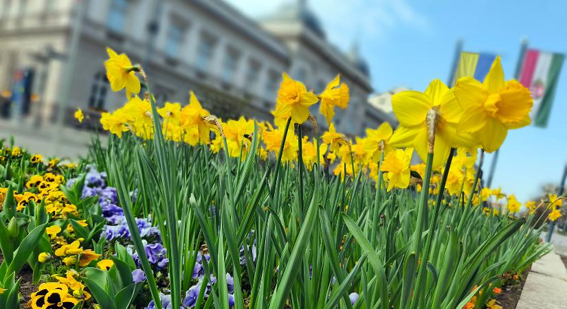 Ezen a napon szünetel az ügyfélfogadás a szolnoki Polgármesteri Hivatalban
