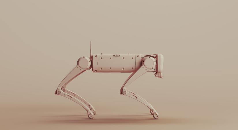 Ettől leesik az állad: itt már robotok őrzik a földeket kutyák helyett