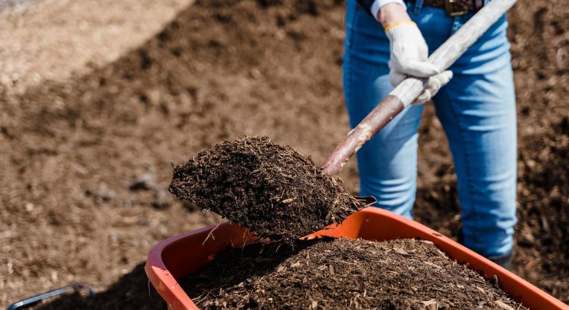 Meglepő, mi hiányzik a legtöbb kertből - pedig ezen múlik minden