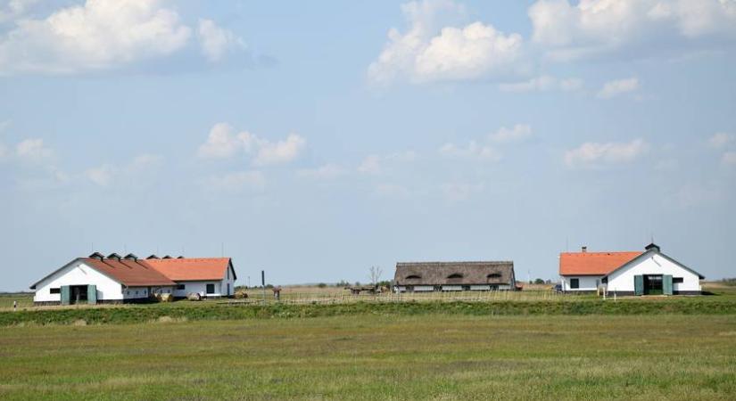 Akár 25 millió forintos támogatást is kaphatsz, ha ilyen helyen laksz: ebben az esetben igényelhető