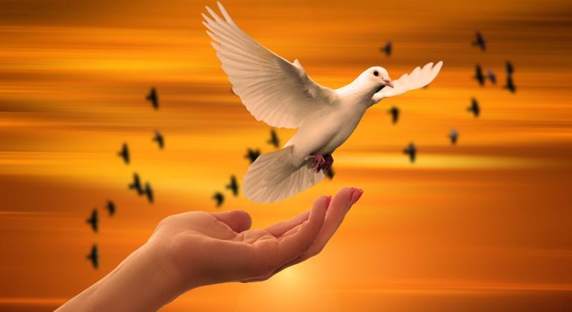 Végre egy igazi lépés a béke felé