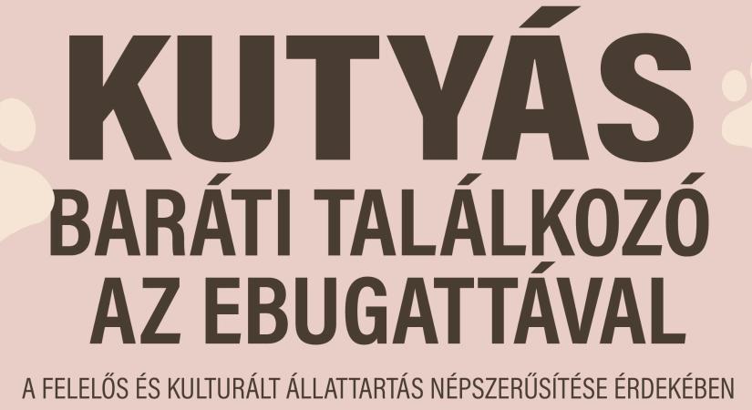 3. Budafok-Tétény Kutyás Baráti Találkozó