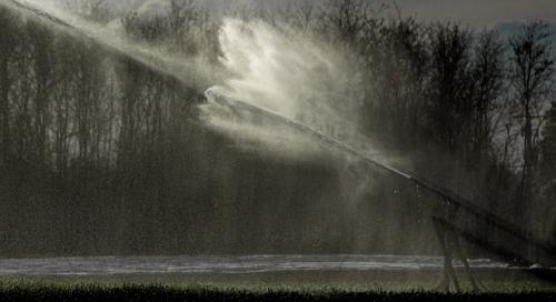 AM: újabb öntözésfejlesztési beruházásokat támogat a kormány