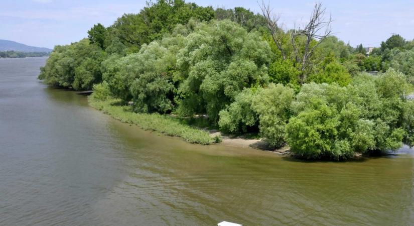 Vitézy Dávid: Két nappal a választás előtt a kormány 3000 lakást engedélyezett a Népszigetre