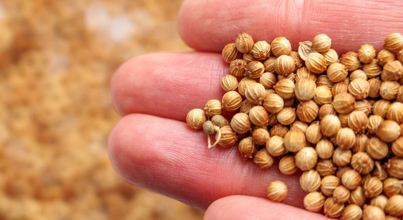 Mérgező anyagot találtak a magyar polcokra került fűszerben