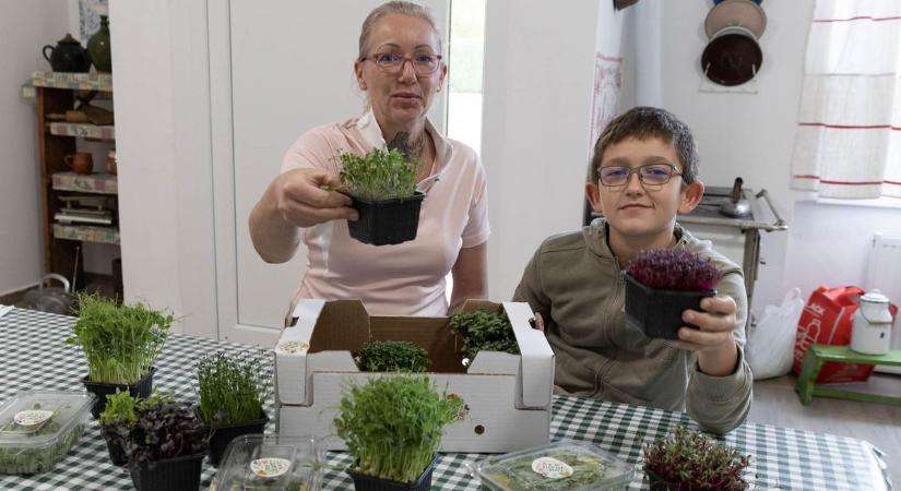Egy zalai szerelmi ajándék: Sissi lányának leveles ládája a tévében talált gazdára