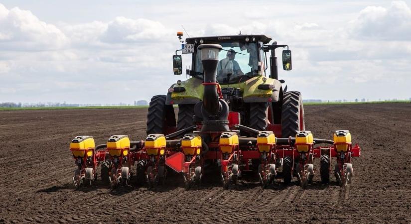 Már vetnék a kukoricát, a napraforgót a gazdák, de hideg a talaj