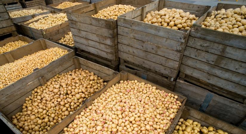 Van, ahol már a gazda fizet, csak vigyék a termést