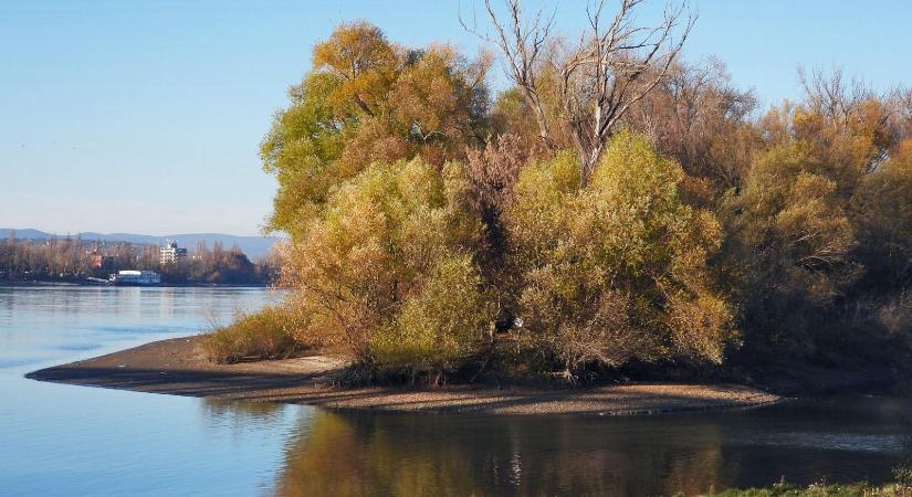 Vitézy Dávid: Az Orbán-kormány 3000 lakást engedélyezett a Népszigetre a választás előtt két nappal