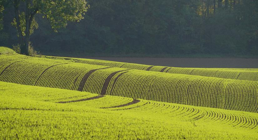 Nehéz piaci környezetben is erősödni tudott az MBH Bank az agrárfinanszírozásban