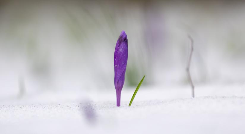 Április, hol lesz még hó?