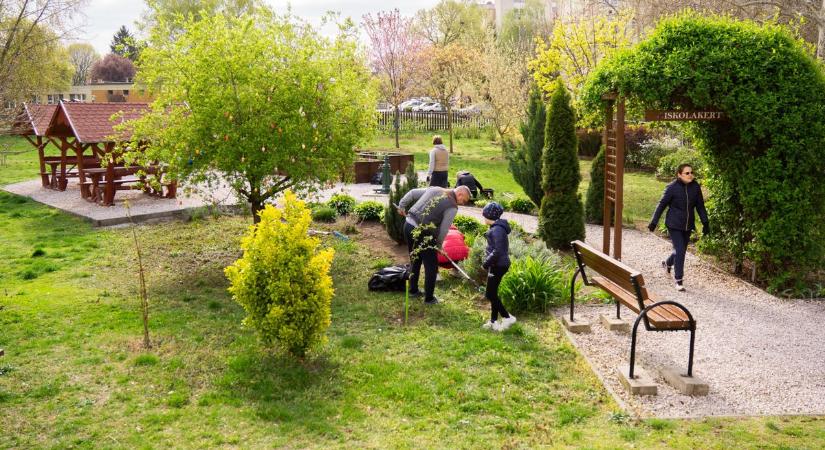 Szépítsük együtt a magyar köznevelést: közösségi összefogással újult meg a lajosmizsei iskola környezete  fotók