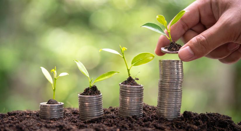 Ez kemény: elképesztő pénzeket vihet haza az a gazda, aki itt dolgozik