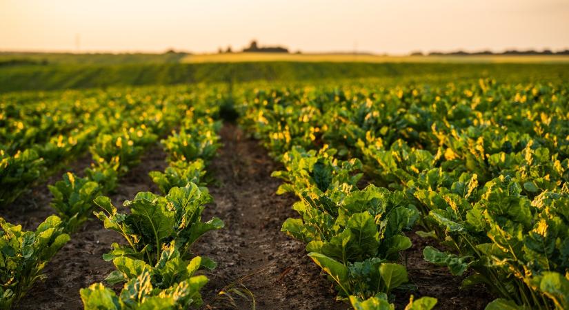 A KWS tovább erősíti ügyfélközpontú működését Magyarországon