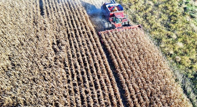A műtrágyahiány mellett az El Nino is odacsaphat a globális mezőgazdaságnak