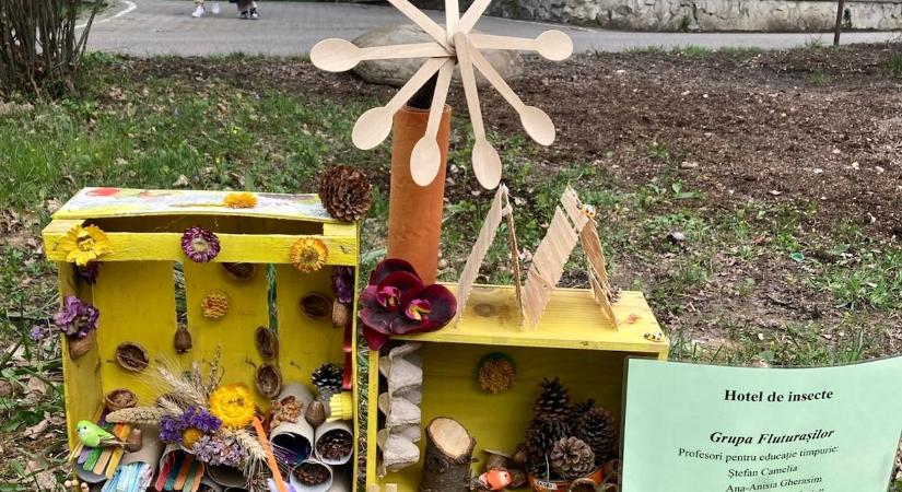 Ovisok készítették – Ötcsillagos hotel méheknek és rovaroknak a marosvásárhelyi állatkertben