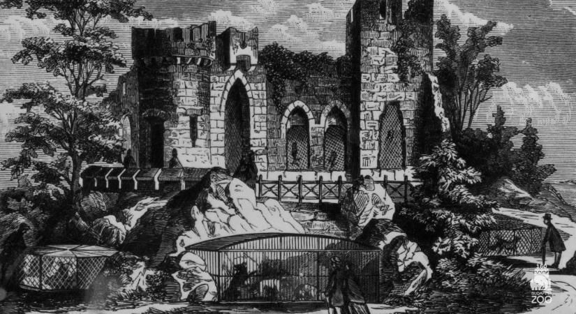 Így nézett ki megnyitásakor a 160 éves Fővárosi Állatkert