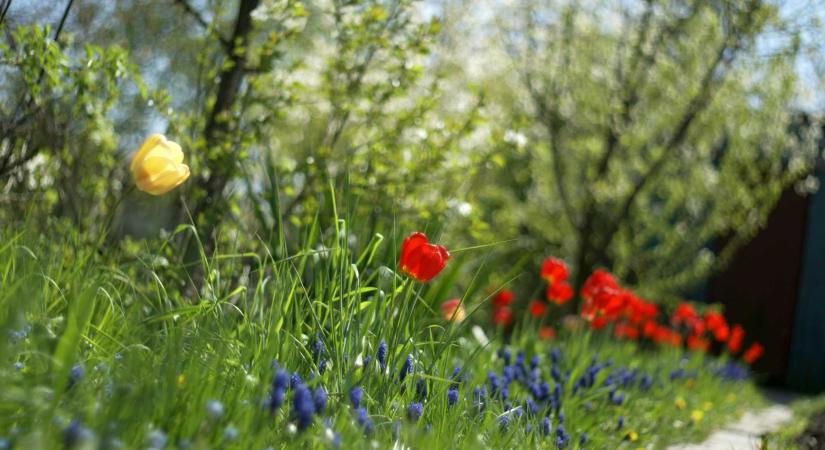 Érkezik a felmelegedés: enyhébb és naposabb hetek Erdélyben és az ország nyugati felén