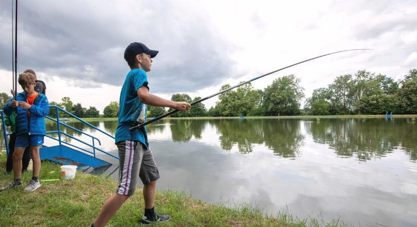 Indul a szezon a Macsi Balcsin, erre az ingyenes programra várják a gyerekeket