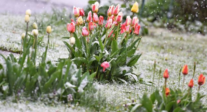 Visszatért az ítéletidő? Ma itt esett a hó, meglepő felvételek érkeztek az országból