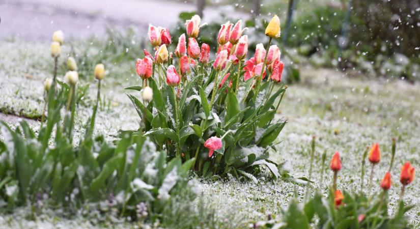 Megbolondult az időjárás, visszatért a havazás Magyarországra: itt lehet számítani még hóesésre  Videó
