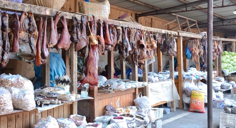 10 évente egy újabb világjárványt kapunk a nyakunkba ezektől az állatoktól