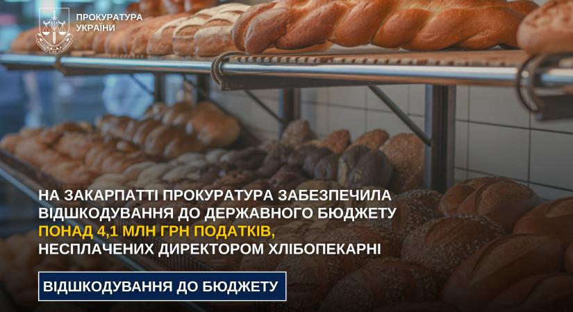 Adóelkerülés Kárpátalján: egy pékség vezetője több mint 4 millió hrivnyát fizetett vissza az államnak
