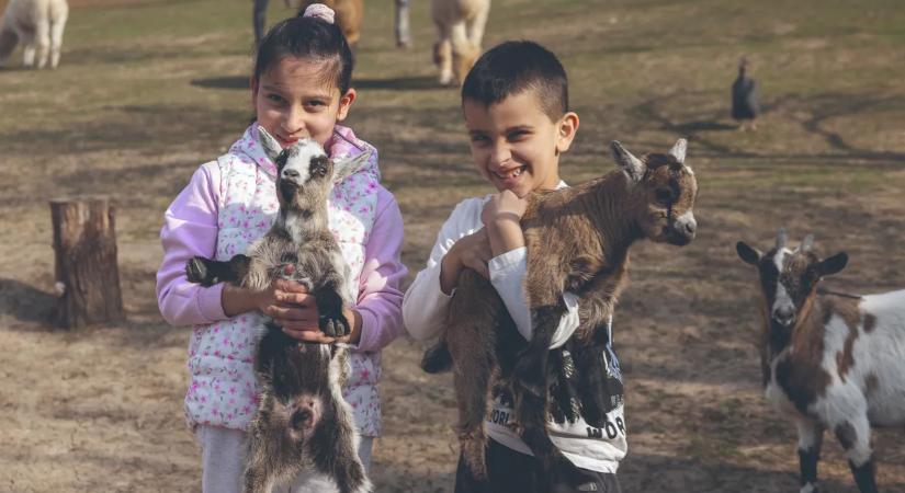 Egy hely az autista gyerekek és a szüleik számára