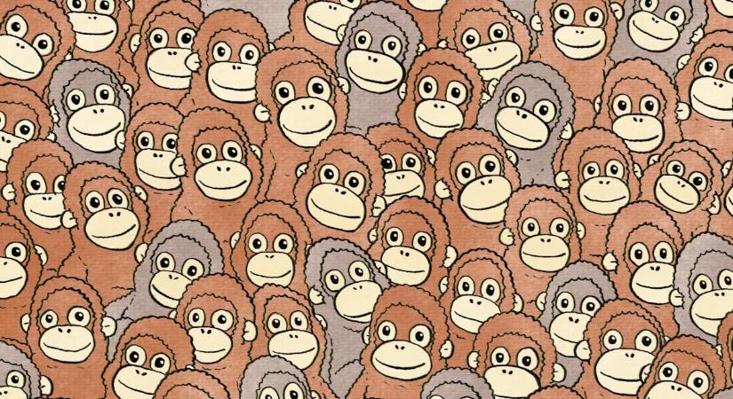 Optikai illúzió: rendkívüli képességei vannak, ha 20 másodperc alatt megtalálja a kismajmot az orangutánok között