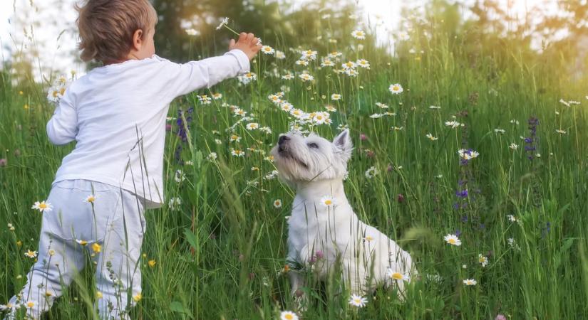 Tavaszias hétvégénk lesz