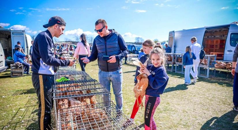 Rengeteg látogatót vonzott a vásár Bezzegpusztán (videó)