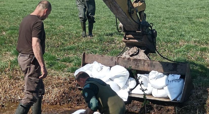 Homokzsákokkal mentik a természetet Kecelnél – elképesztő összefogás indult!