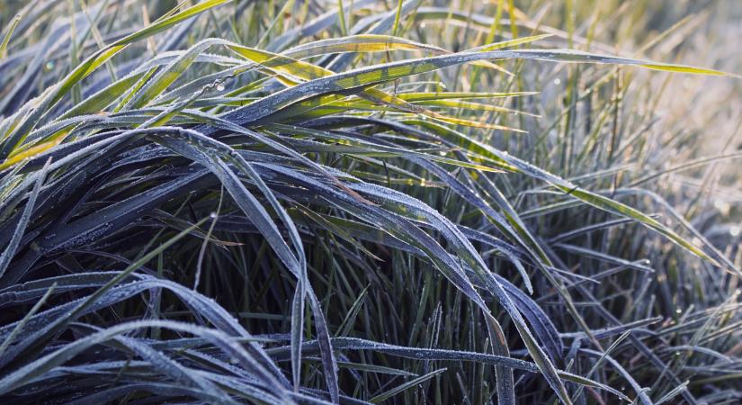 Időjárás: Ha a hajnalon túlvagyunk, a többi gyerekjáték
