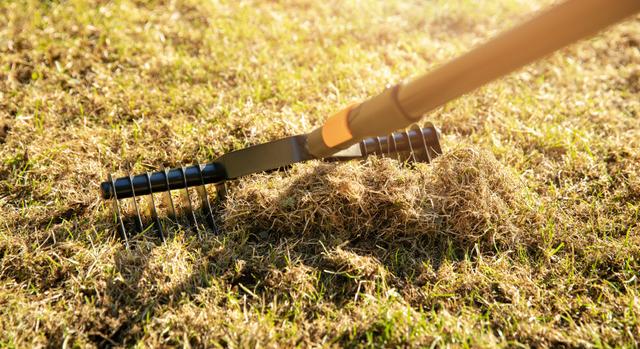 Egy gramm tartalék sincs ebből Magyarországon: megkongatták a vészharangot a szakemberek