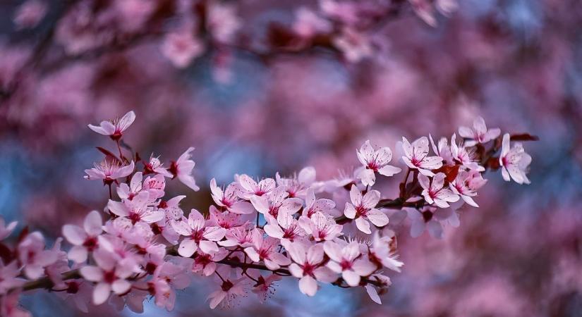 Változékony tavaszi idő: napsütés, felhők és fokozatos melegedés