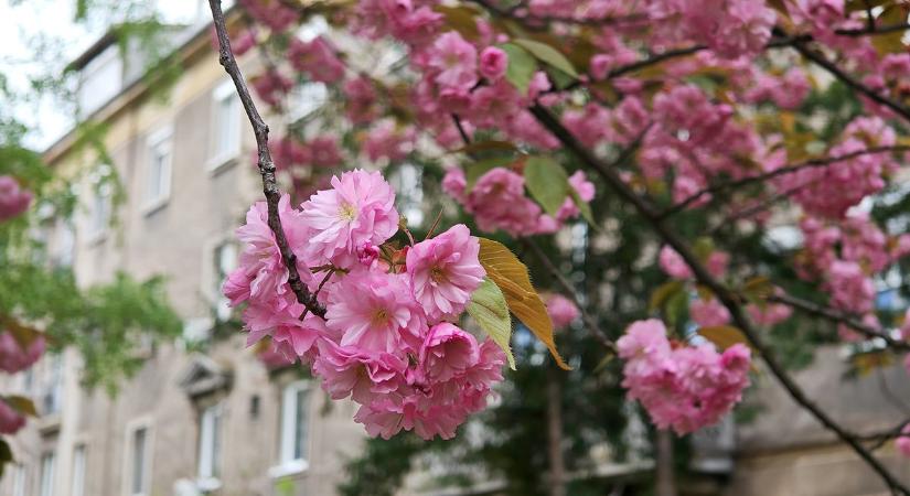 Feloszlik a front, nem lesz egyhangú az időjárás Dunaújvárosban  videó