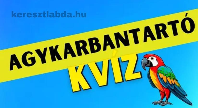 Napi agykarbantartó feladat: Te is tudod, hányadik a papagáj a sorban?