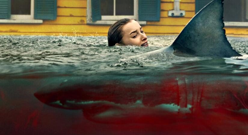 [KRITIKA] Haragos természet – Elkap a Netflix új cápája, de túl korán elenged