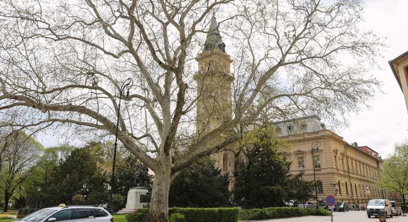 Felforgatják Vásárhely belvárosát: így változik meg a forgalom a városháza mellett