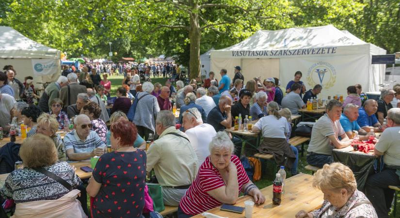 Az idén nem lesz szakszervezeti majális a Városligetben