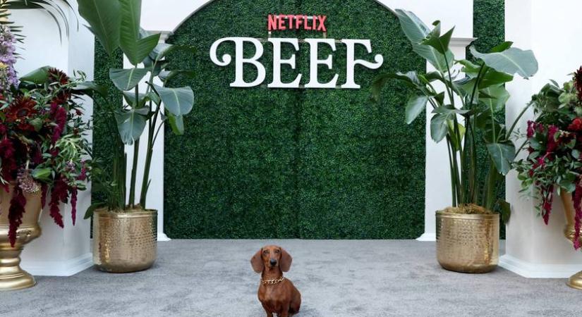 Cuki tacskó lopta el a show-t tegnap a Netflix-sorozat premierjén: imádjuk, ahogy pózol