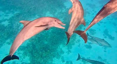 Egyiptom turizmusa nevethet az iráni konfliktus végén