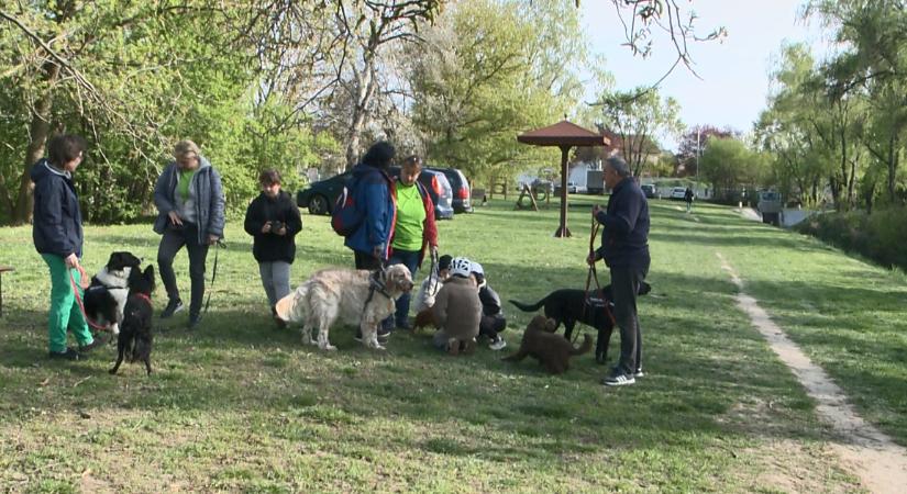 Állati jó programot szerveztek a Liget Lakóparkban