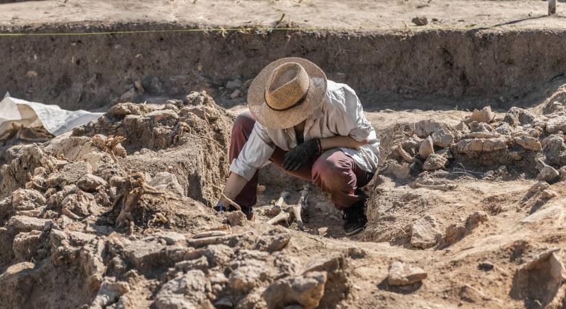 Uralkodósírra bukkantak egy faluban: rengeteg kincs hevert benne