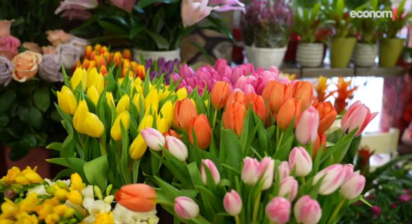 Egyre kevesebb vágott virágot vásárolunk, és meg is van az oka ennek