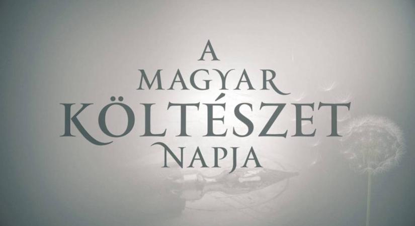 A magyar költészet napja – tematikus műsorokkal ünnepli április 11-ét a közmédia